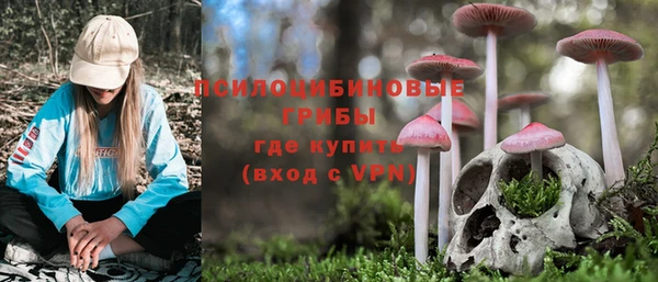 СК Алзамай