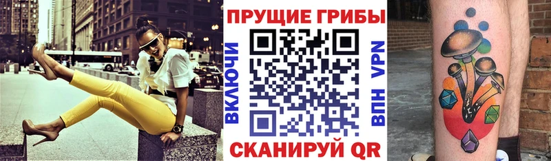 купить наркотики сайты  Андреаполь  Галлюциногенные грибы мухоморы 